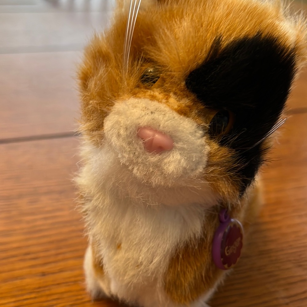 American Girl Doll Cat
